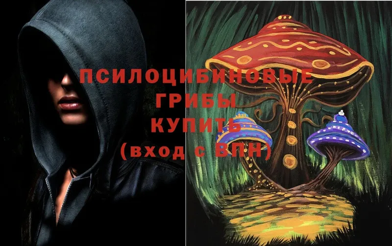 Псилоцибиновые грибы мицелий  Курганинск 